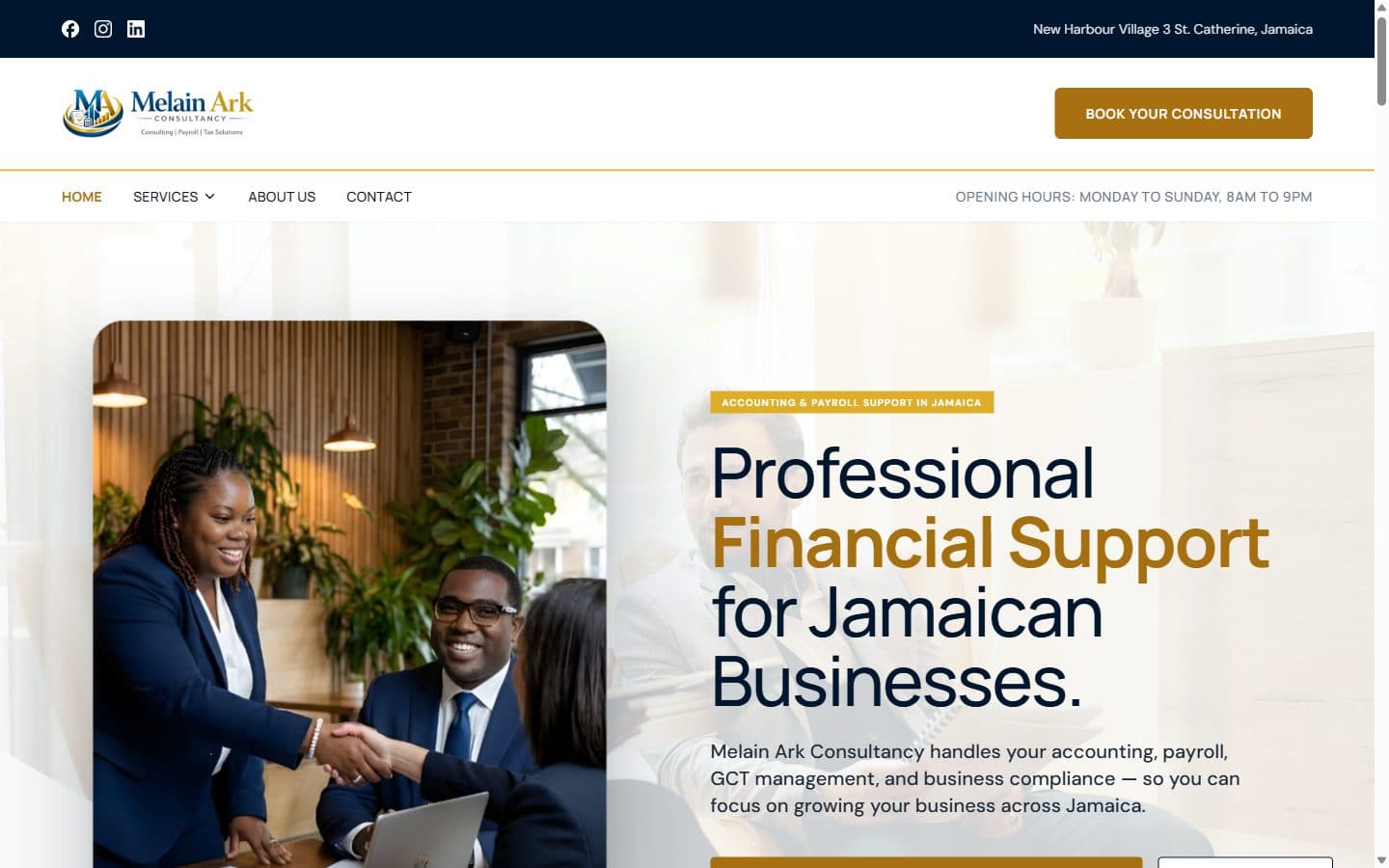 Melain Ark Consultancy website on desktop
